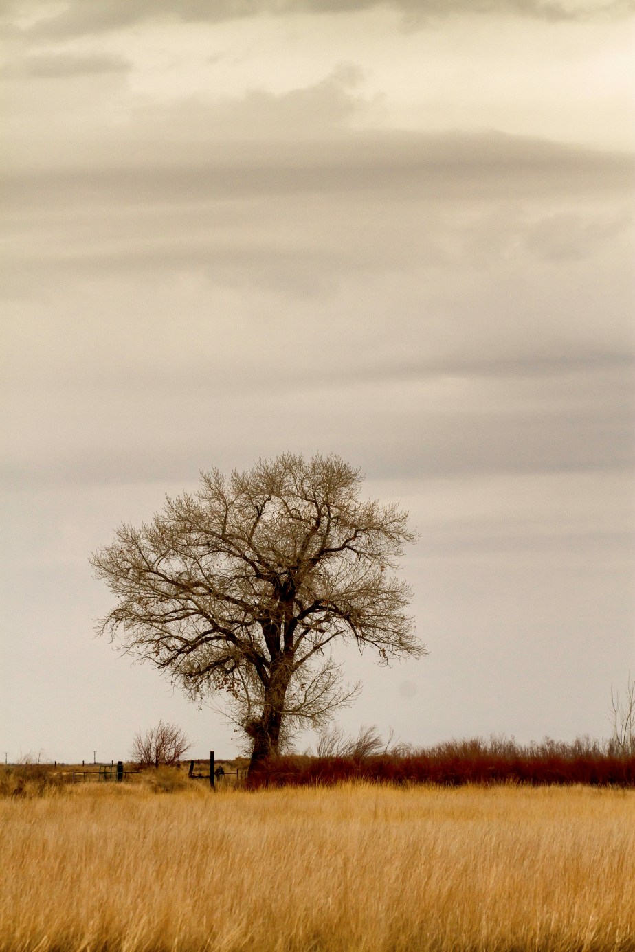 165,000 Acres All to Myself – Stillwater Wildlife&nbsp;Refuge