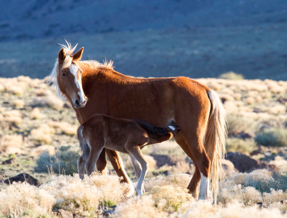 It’s That Time of&nbsp;Year