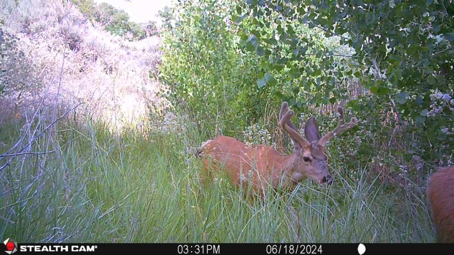 What are the Boys Up&nbsp;to?