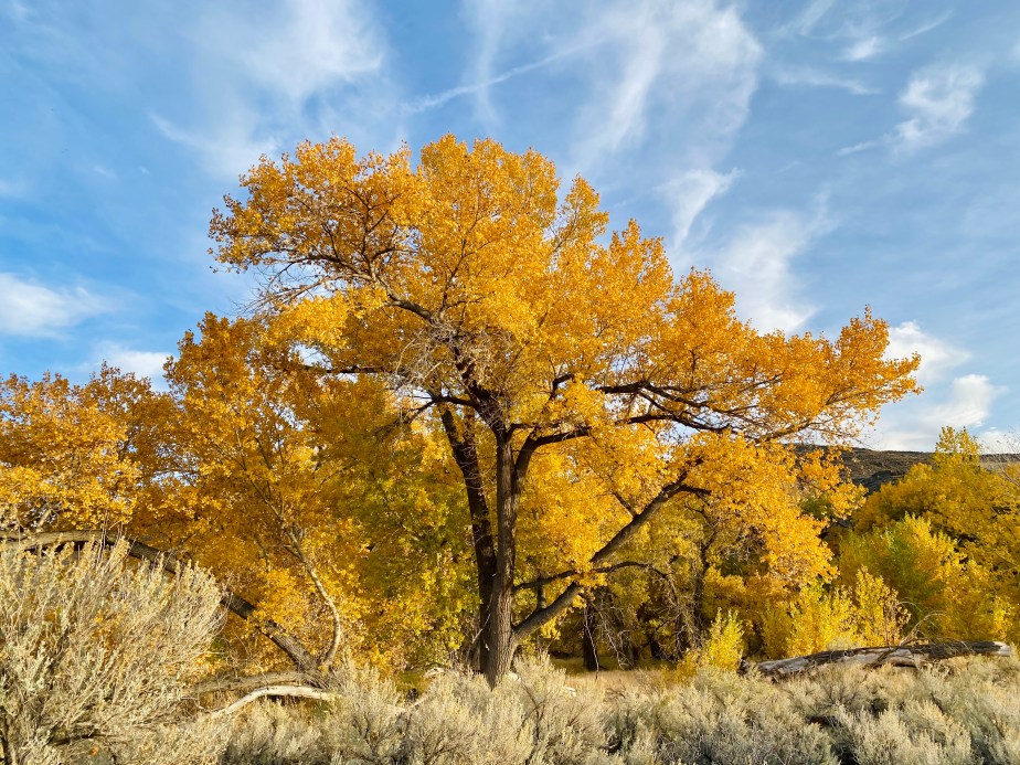 Autumn, the Briefest&nbsp;Season