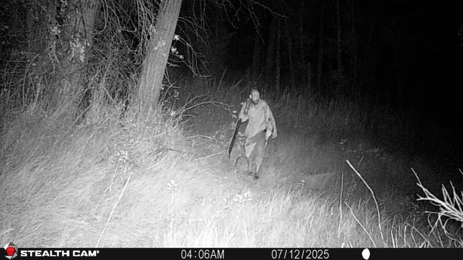 I am a Scaredy Cat, Scared of Cats&nbsp;and…